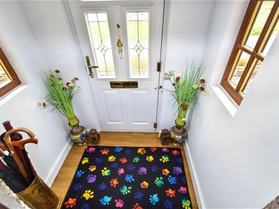Picture 6